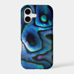 USA, Colorado, Lafayette. Abalone shell iPhone 17 Case