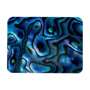 USA, Colorado, Lafayette. Abalone shell Magnet