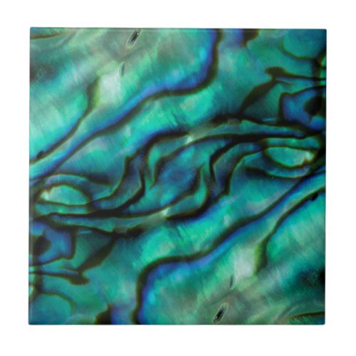 USA Colorado Lafayette Abalone shell montage Ceramic Tile