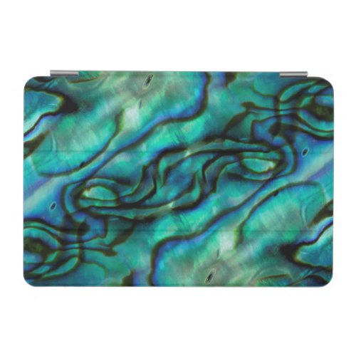 USA Colorado Lafayette Abalone shell montage iPad Mini Cover