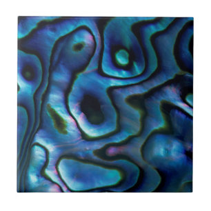 USA, Colorado, Lafayette. Abalone shell Tile