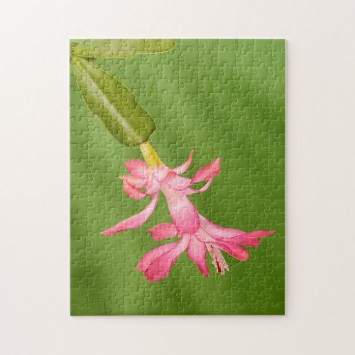 USA Colorado Lafayette Christmas cactus Jigsaw Puzzle