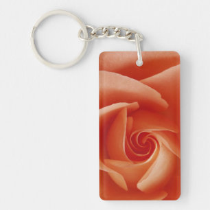 USA, Colorado, Lafayette. Peach rose close-up Keychain