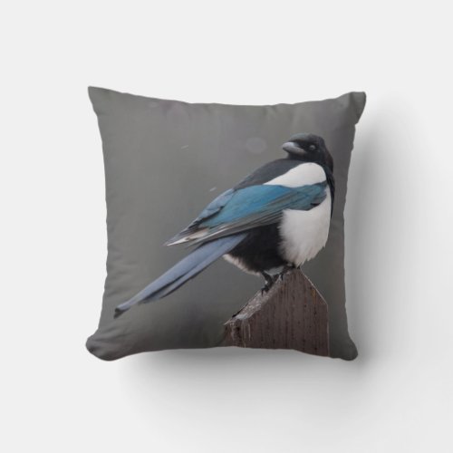 USA Colorado Magpie In Estes Park Throw Pillow