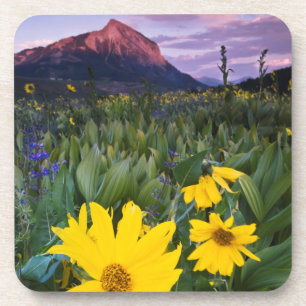 USA, Colorado, Mt. Crested Butte Beverage Coaster