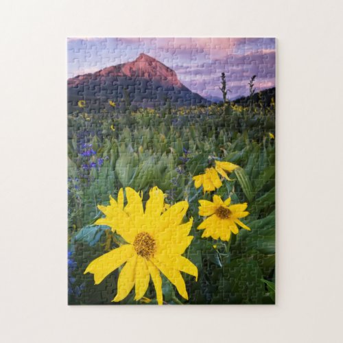 USA Colorado Mt Crested Butte Jigsaw Puzzle