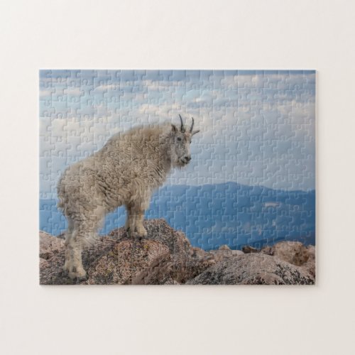 USA Colorado Mt Evans Mountain Goat Stands Jigsaw Puzzle