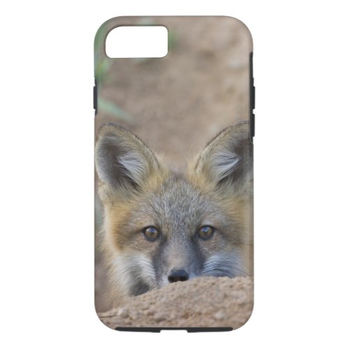 USA Colorado Pike National Forest Shy red fox iPhone 87 Case