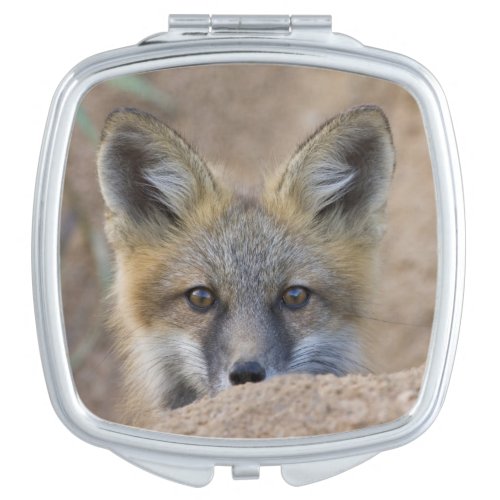 USA Colorado Pike National Forest Shy red fox Compact Mirror