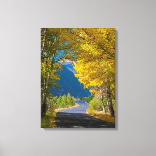 USA Colorado Road Flanked By Aspens Canvas Print