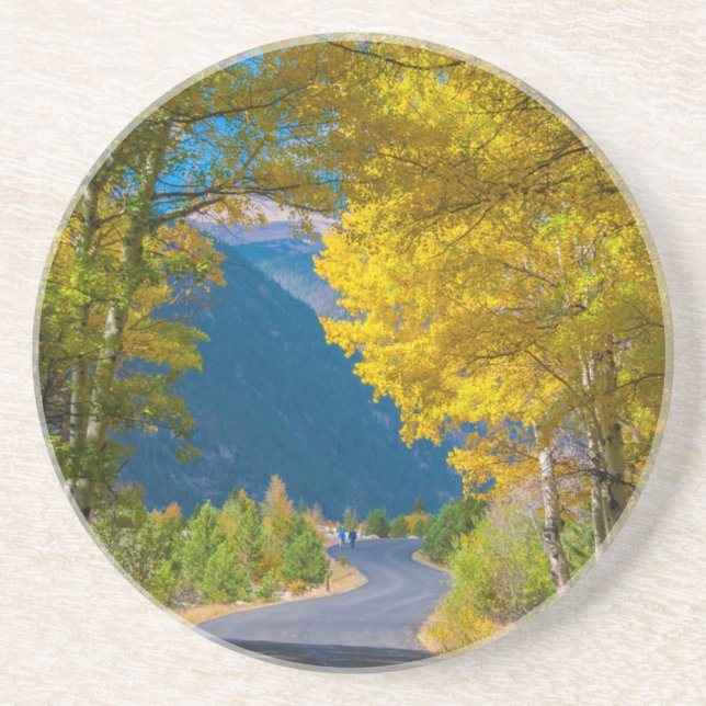 USA, Colorado. Road Flanked By Aspens Drink Coaster (Front)
