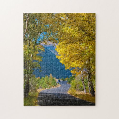 USA Colorado Road Flanked By Aspens Jigsaw Puzzle