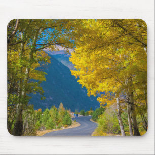 USA, Colorado. Road Flanked By Aspens Mouse Pad