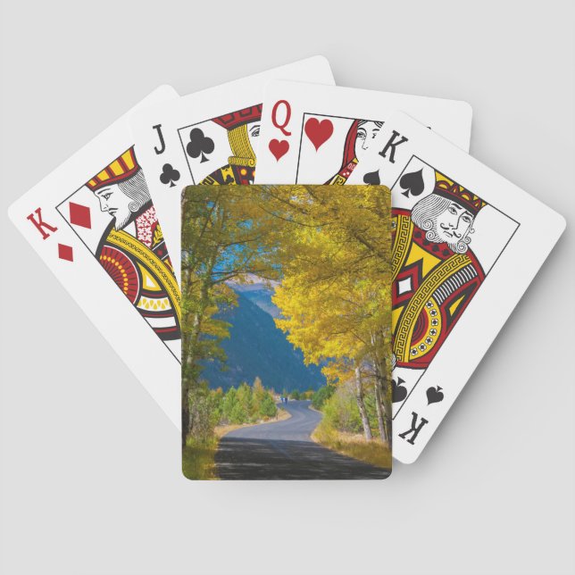 USA, Colorado. Road Flanked By Aspens Poker Cards (Back)