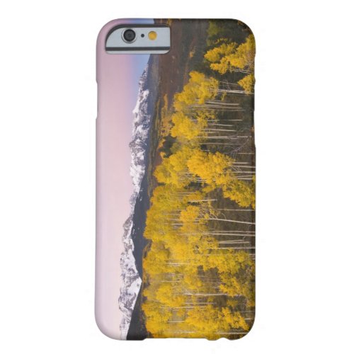 USA Colorado Rocky Mountains  Dawn in the San Barely There iPhone 6 Case