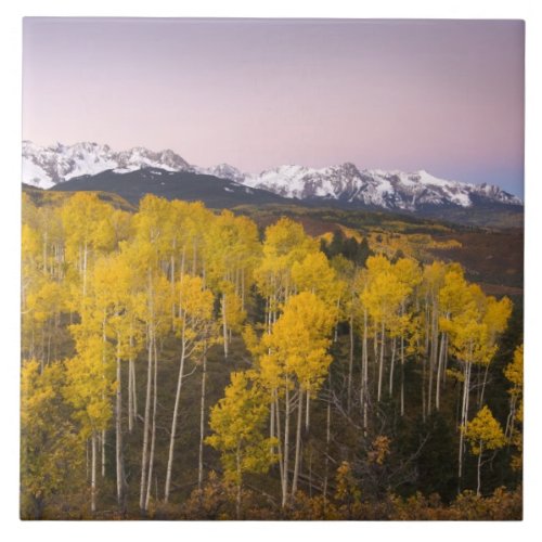 USA Colorado Rocky Mountains  Dawn in the San Tile