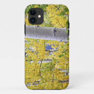 USA, Colorado, Rocky Mountains.  Intimate aspen 2 iPhone 11 Case
