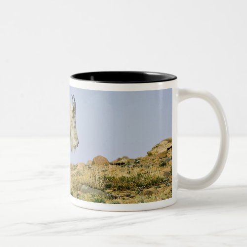 USA Colorado Rocky Mountains Mount Evans Two_Tone Coffee Mug