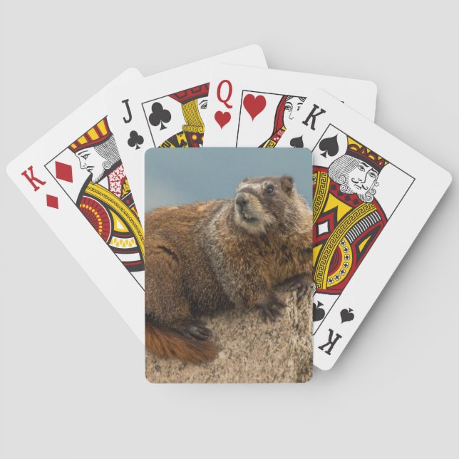 USA, Colorado, San Juan Mountains 2 Poker Cards (Back)