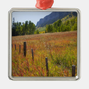 USA, Colorado, San Juan National Forest, along Metal Ornament