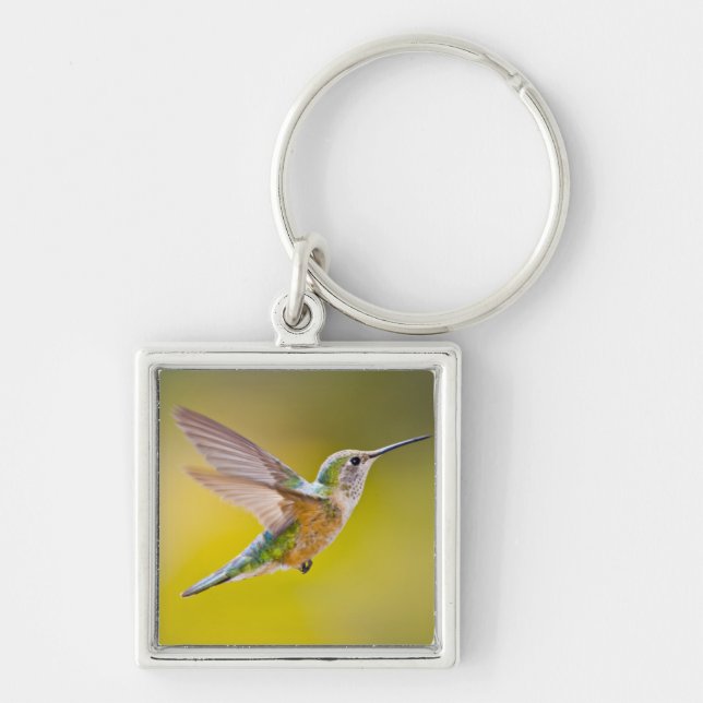 USA, Colorado, Summit County, Heeney. Side view Keychain (Front)