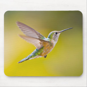 USA, Colorado, Summit County, Heeney. Side view Mouse Pad