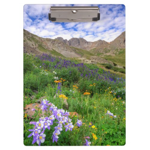 USA Colorado Wildflowers In American Basin Clipboard