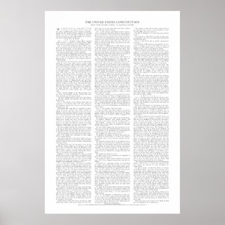 USA Constitution Poster