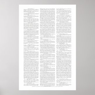 USA Constitutional Amendments Poster