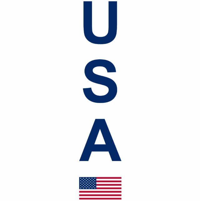 USA CUTOUT (Front)