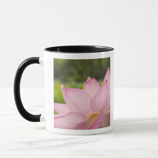 USA, DC, Washington, Kenilworth Aquatic 2 Mug (Left)