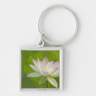 USA, DC, Washington, Kenilworth Aquatic Keychain