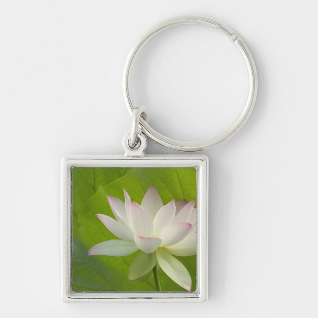 USA, DC, Washington, Kenilworth Aquatic Keychain (Front)