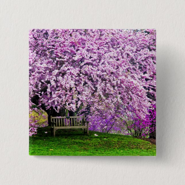 USA, Delaware, Wilmington. Wooden bench under Button (Front)