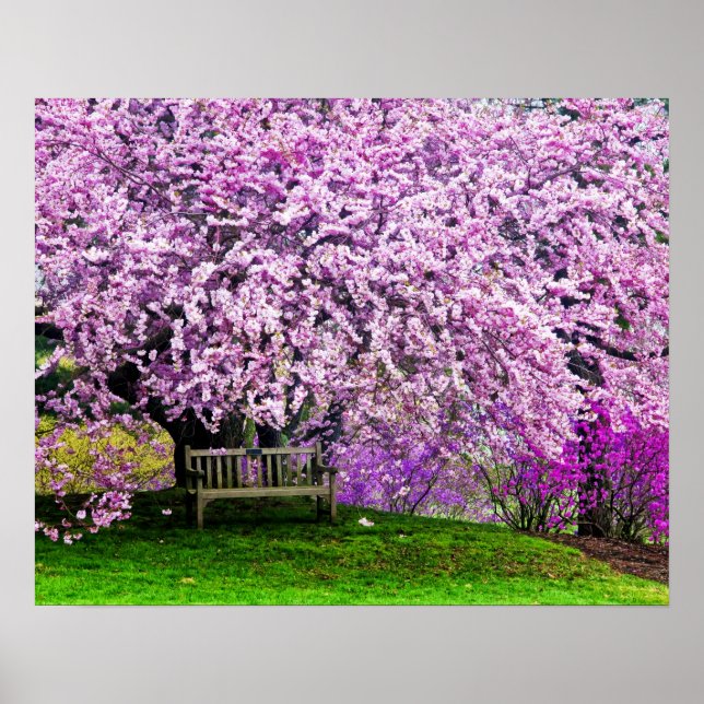 USA, Delaware, Wilmington. Wooden bench under Poster (Front)