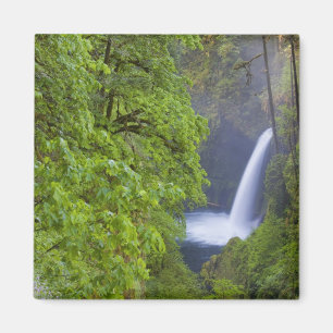 USA, Eagle Creek, Columbia Gorge, Oregon. 2 Magnet