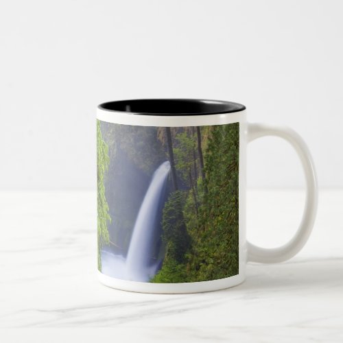 USA Eagle Creek Columbia Gorge Oregon 2 Two_Tone Coffee Mug