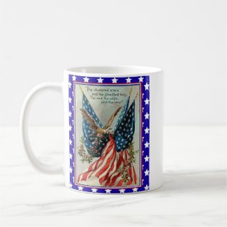 USA Eagle Fourth of July Patriotic Flag