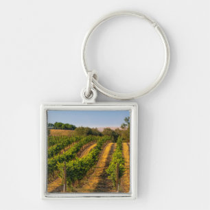 USA, Eastern Washington, Walla Walla Vineyards Keychain