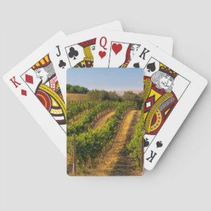 USA, Eastern Washington, Walla Walla Vineyards Poker Cards