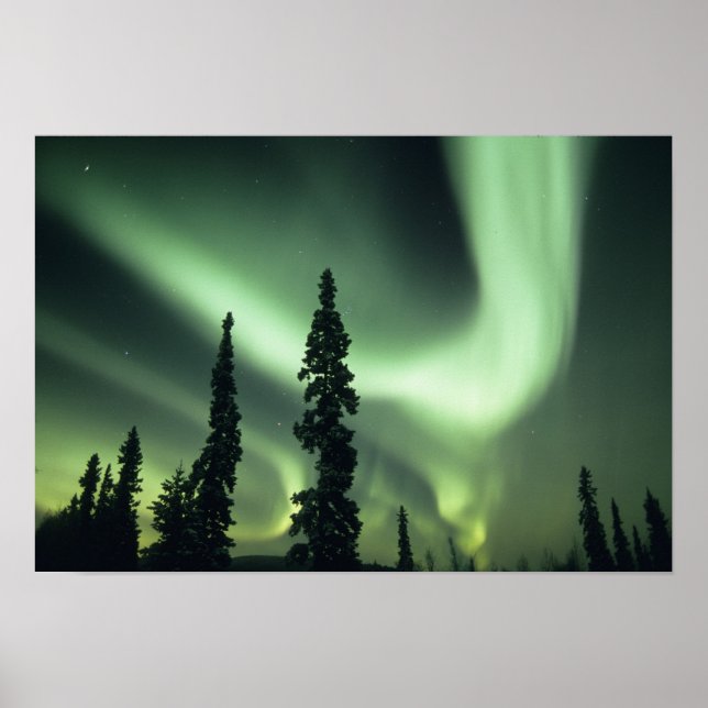 USA, Fairbanks area, Central Alaska, Aurora 2 Poster (Front)