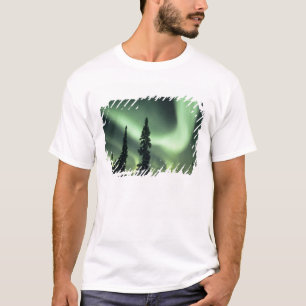 USA, Fairbanks area, Central Alaska, Aurora 2 T-Shirt