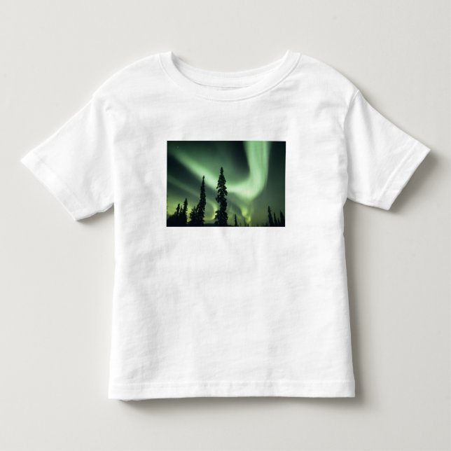 USA, Fairbanks area, Central Alaska, Aurora 2 Toddler T-shirt (Front)