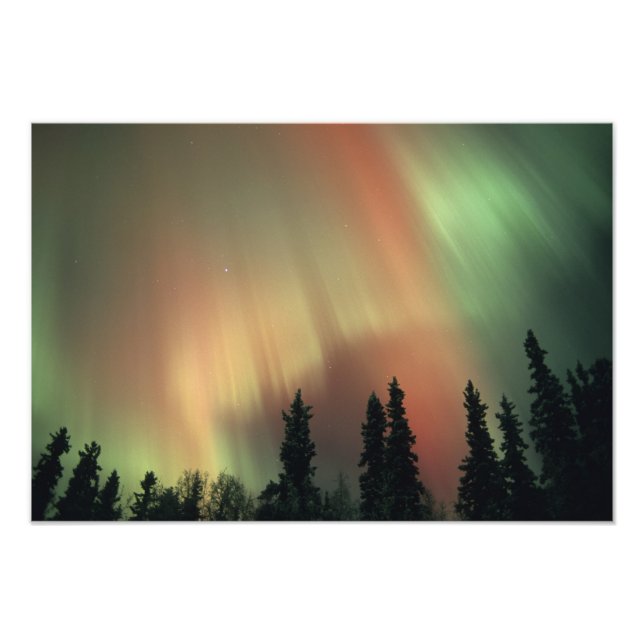 USA, Fairbanks area, Central Alaska, Aurora 3 Photo Print (Front)