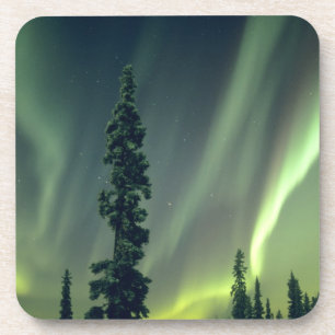 USA, Fairbanks area, Central Alaska, Aurora Drink Coaster