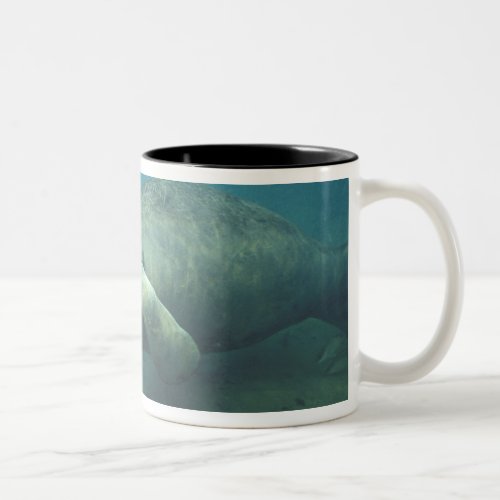 USA FL Manatee Two_Tone Coffee Mug