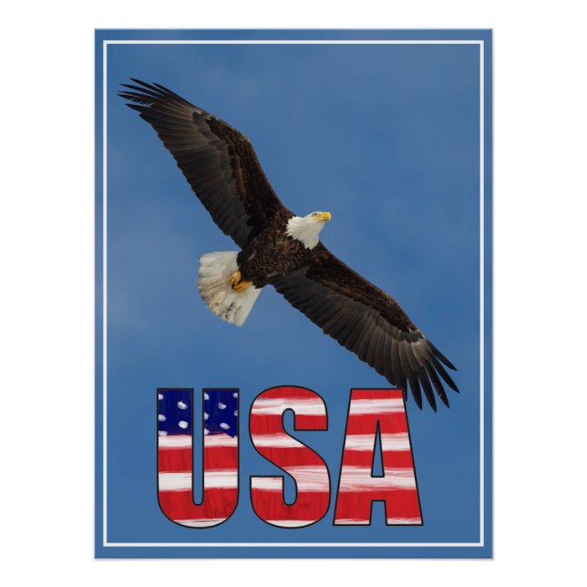 USA Flag And Bald Eagle Poster (Front)