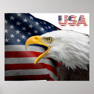 Usa flag-bald eagle poster