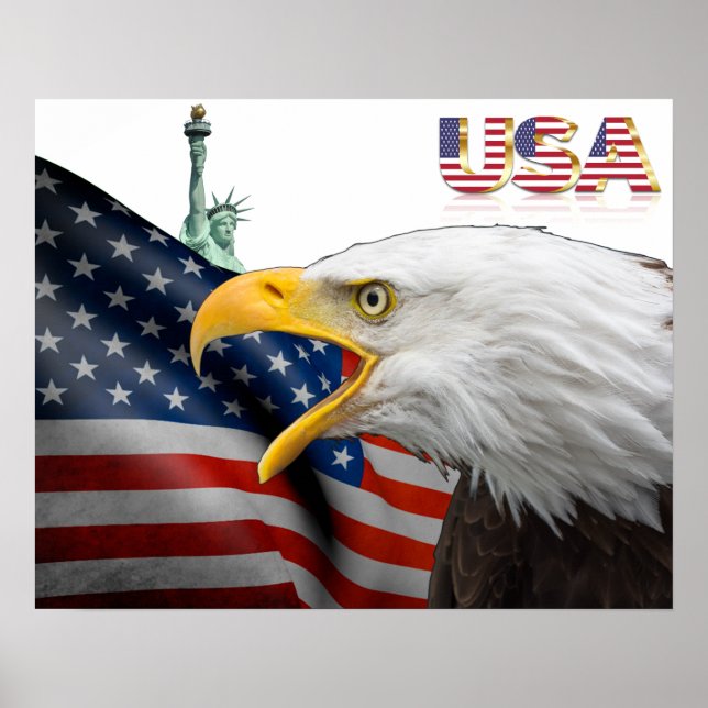 Usa flag-bald eagle poster (Front)