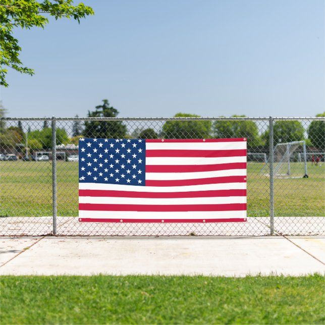 USA Flag Banner - United States of America (Insitu)